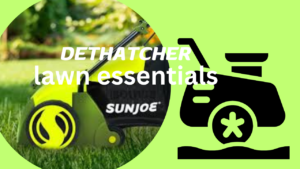 Choosing the Best Dethatcher: Comparing Top Products in 2024